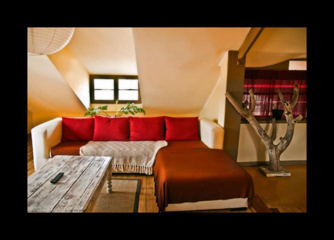 A La Maison La Paz Oda fotoğraf